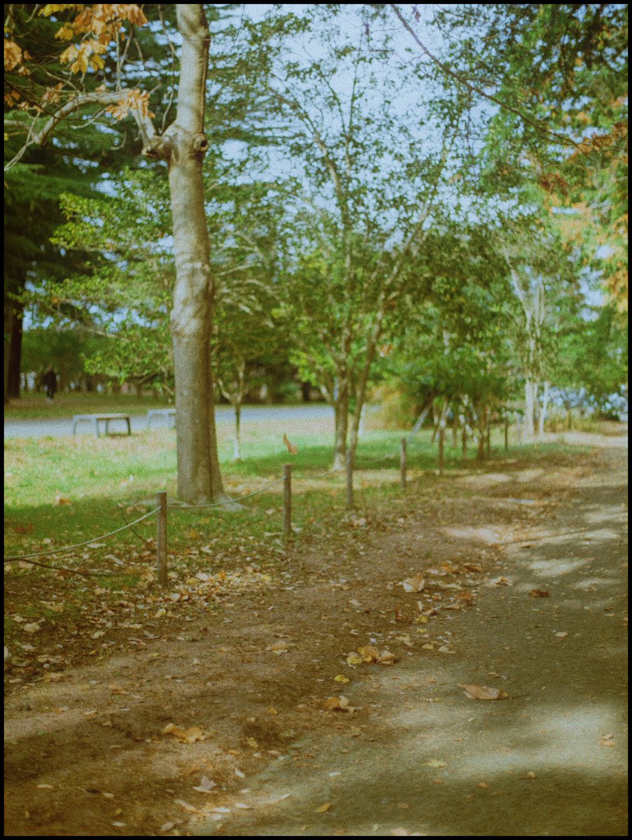 kei (@kei_portrait_) on Twitter photo 