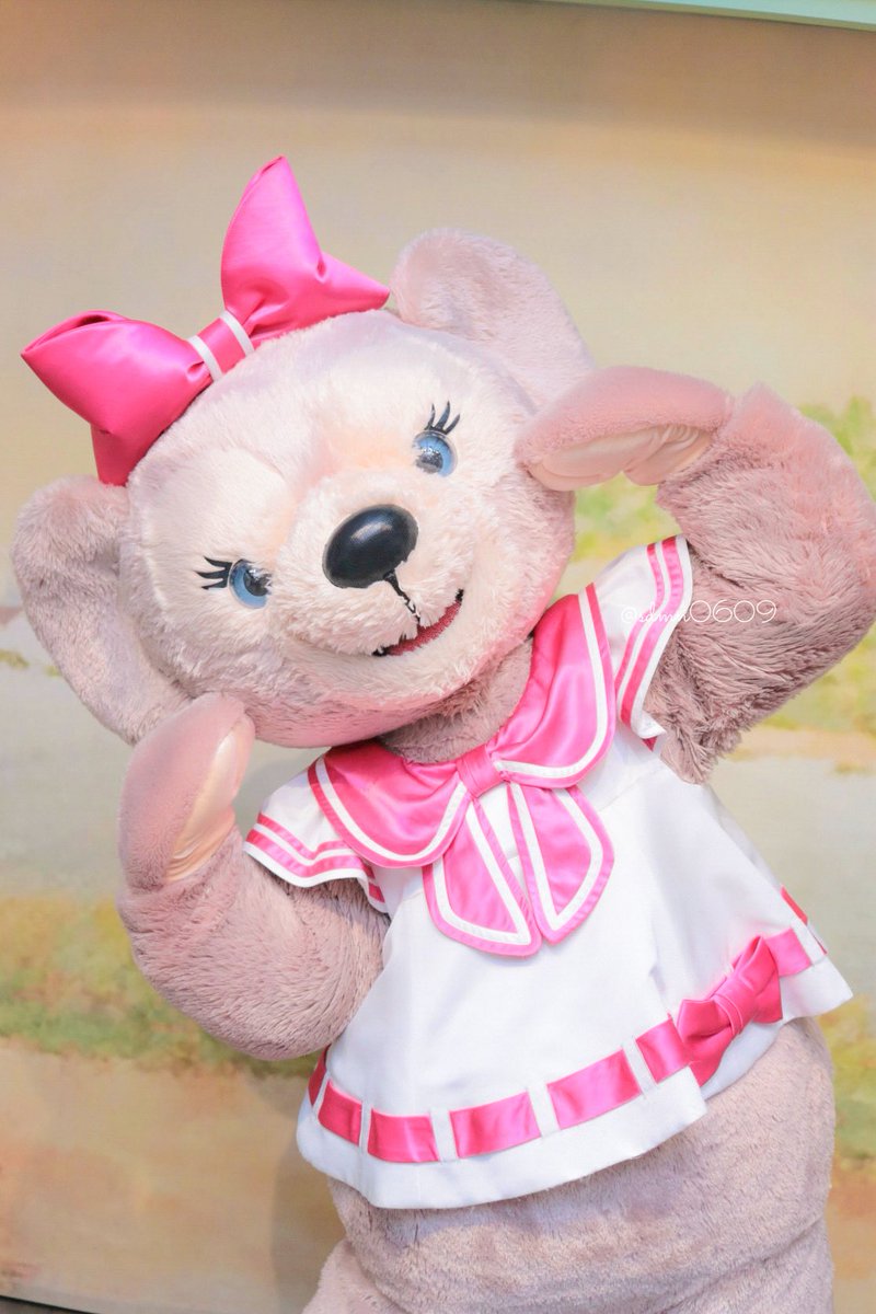 sdmn0609's tweet photo. SDカード壊れちゃってデータ無くなったり色々大変だったけど、最後笑顔だよ〜ってにこちゃんポーズ貰って癒された( ඉ_ඉ )♡♡本当に大好きだよ( ඉ_ඉ )♡♡ https://t.co/u83VjLHVre
