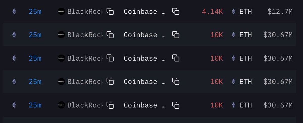 WHALE 🐳 EVERYTHING tweet media