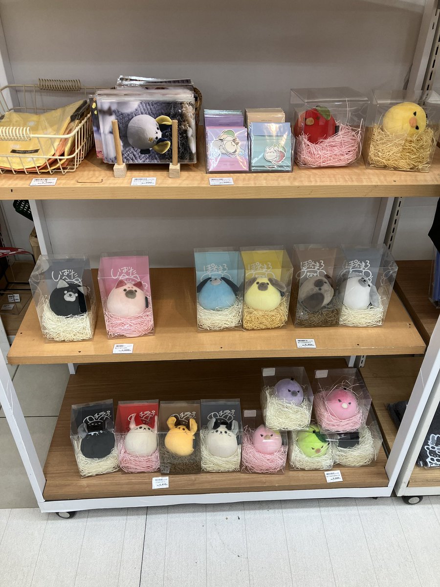 makkuro_usagi_h's tweet image. ハンズ渋谷店
昨日時点での店頭のぬいぐるみ在庫です
ただいま追納準備中！！
2〜3日以内には追納します！
原画も！