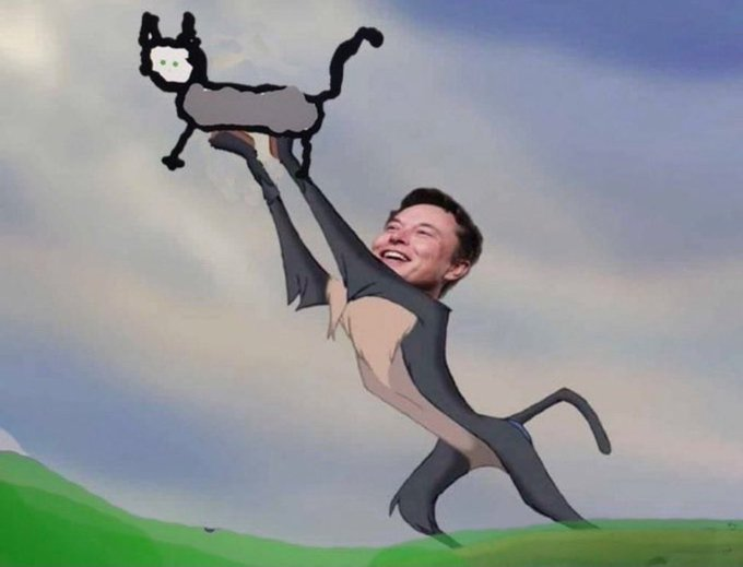 stassi_sol's tweet image. STUDY $Ellie 🚀

$Ellie is the first cat ever drawn by a human using only pure thought with the $Neuralink owned by @elonmusk
She was created by @NeuraNova9 , who has been paralyzed from the neck down for over two decades. 
100% of all trading fees go directly to Audrey.