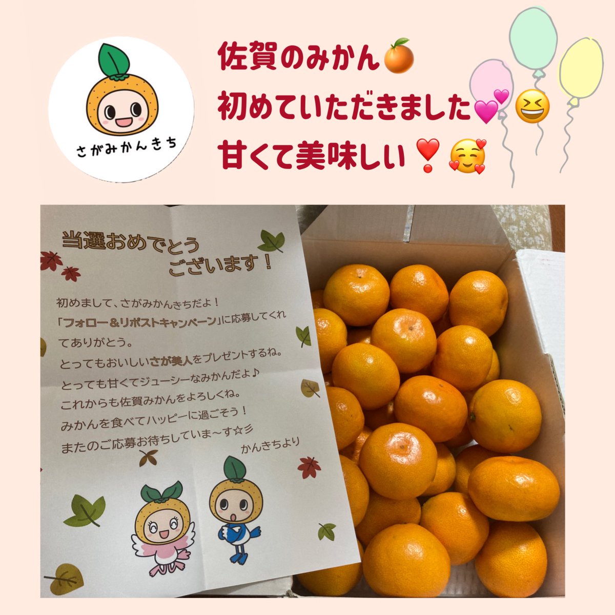 さがみかんきち【公式】 (@sagamikankichi) / Posts / X