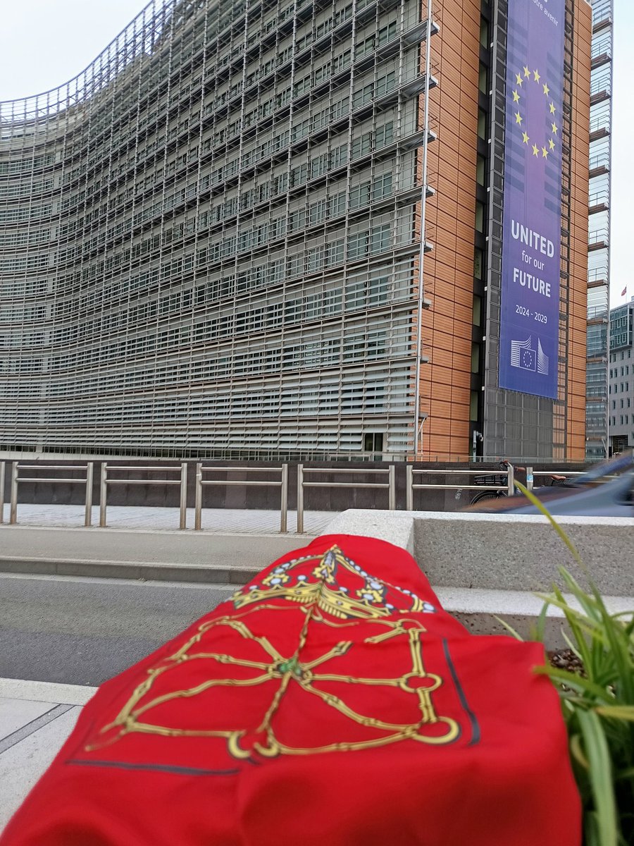 Desde la distancia... ¡Feliz Día de Navarra y de San Francisco Javier!