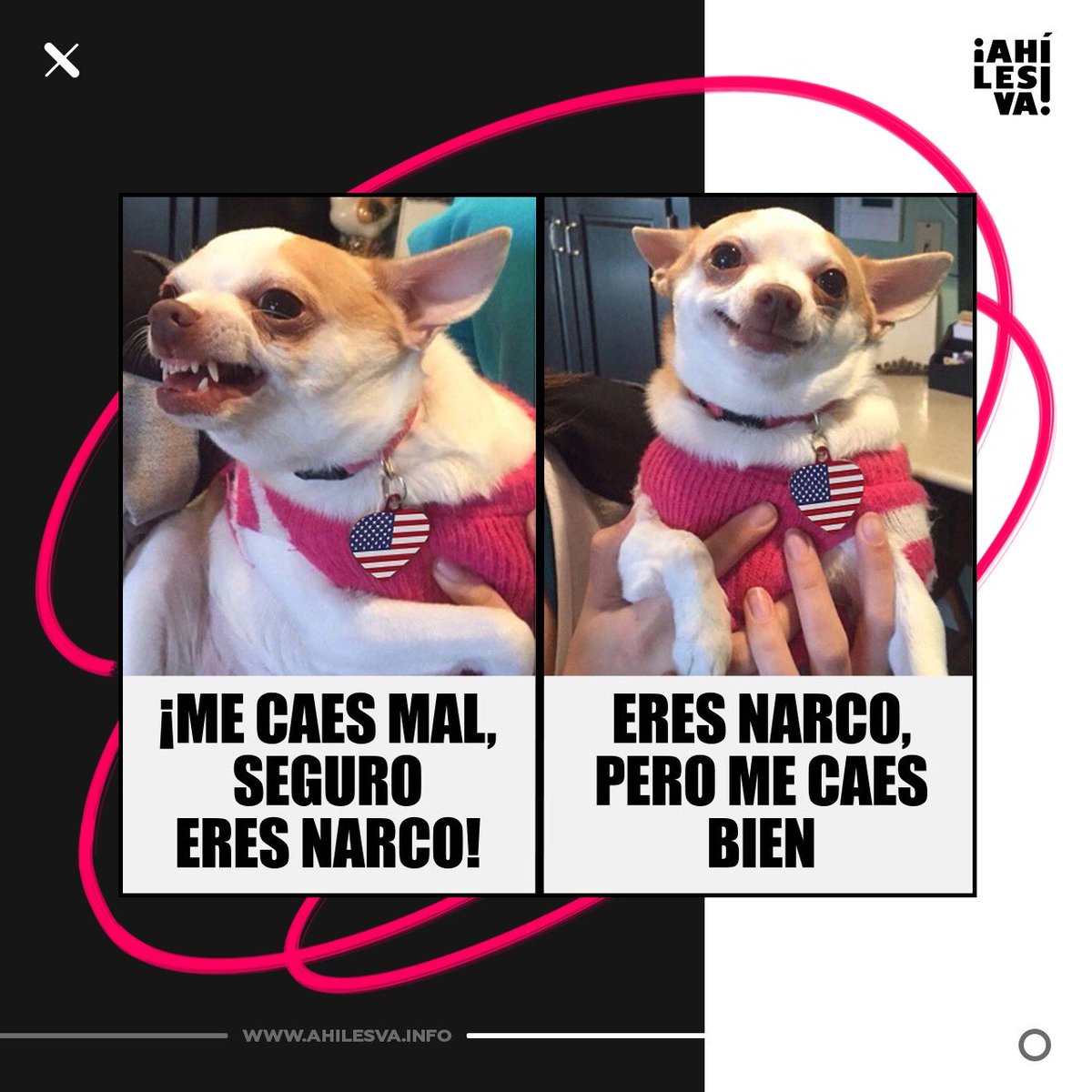 Si se perdieron nuestro video de ayer sobre el peculiar 'combate' al narcotráfico de EE.UU., les dejamos un breve resumen en forma de meme 😅

Y si ahora quieren ver el video completo, pueden hacerlo en <a href="/ahilesvavideos/">ahilesvavideos</a> 😉