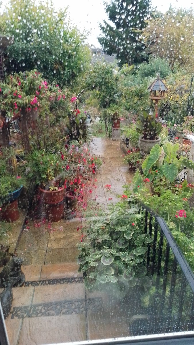 PhilsPlot's tweet image. Through the kitchen window #AlphabetChallenge #WeekWforWindows