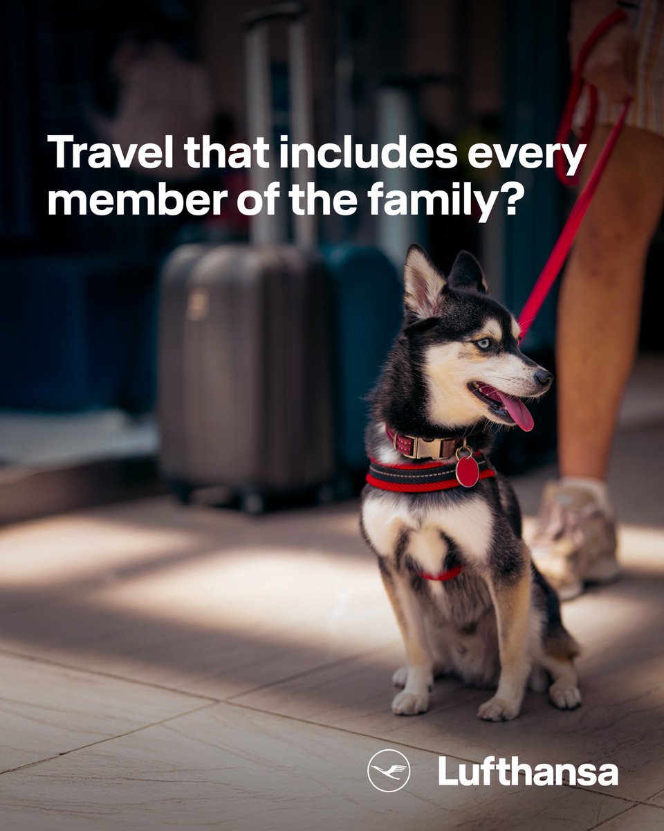 Your pets travel safely and comfortably with Lufthansa’s dedicated service for animals. From preparation to arrival, care follows every paw and treats your furry companion with the same comfort you do.

Learn more here: lufthansa.com/in/en/travelli…

#Lufthansa #PetTravel