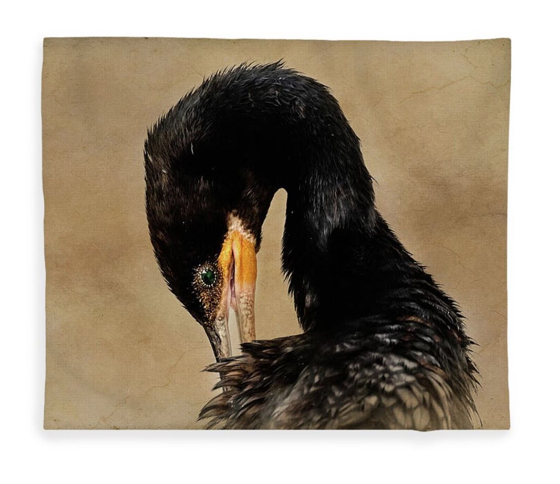DebraMartz's tweet photo. Portrait of NeoTropic Cormorant Preening - Textured Background Fleece Blanket by Debra Martz https://t.co/FB9x1sWZAl
#Neotropic #cormorant #preening #bird #birds #aves #avian #BirdLovers #featheredFriends #ornithology #photoArt #PhotographyIsArt #BuyIntoArt #giftideas https://t.co/qLFvEL1Guk