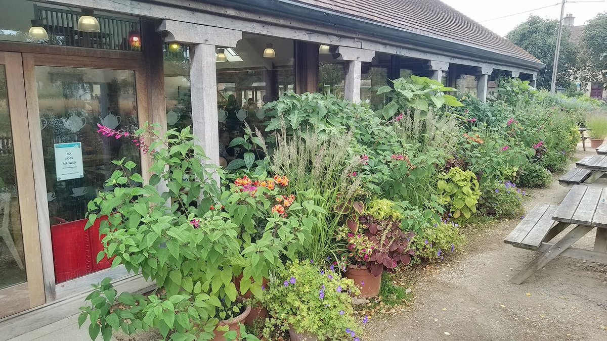 PhilsPlot's tweet image. Not easy to see out of the windows at Aston Pottery café 🤭 #alphabetchallenge #WeekWforWindows