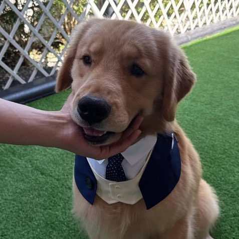 อุ๋งๆพ่กบ้อกแบ้ก