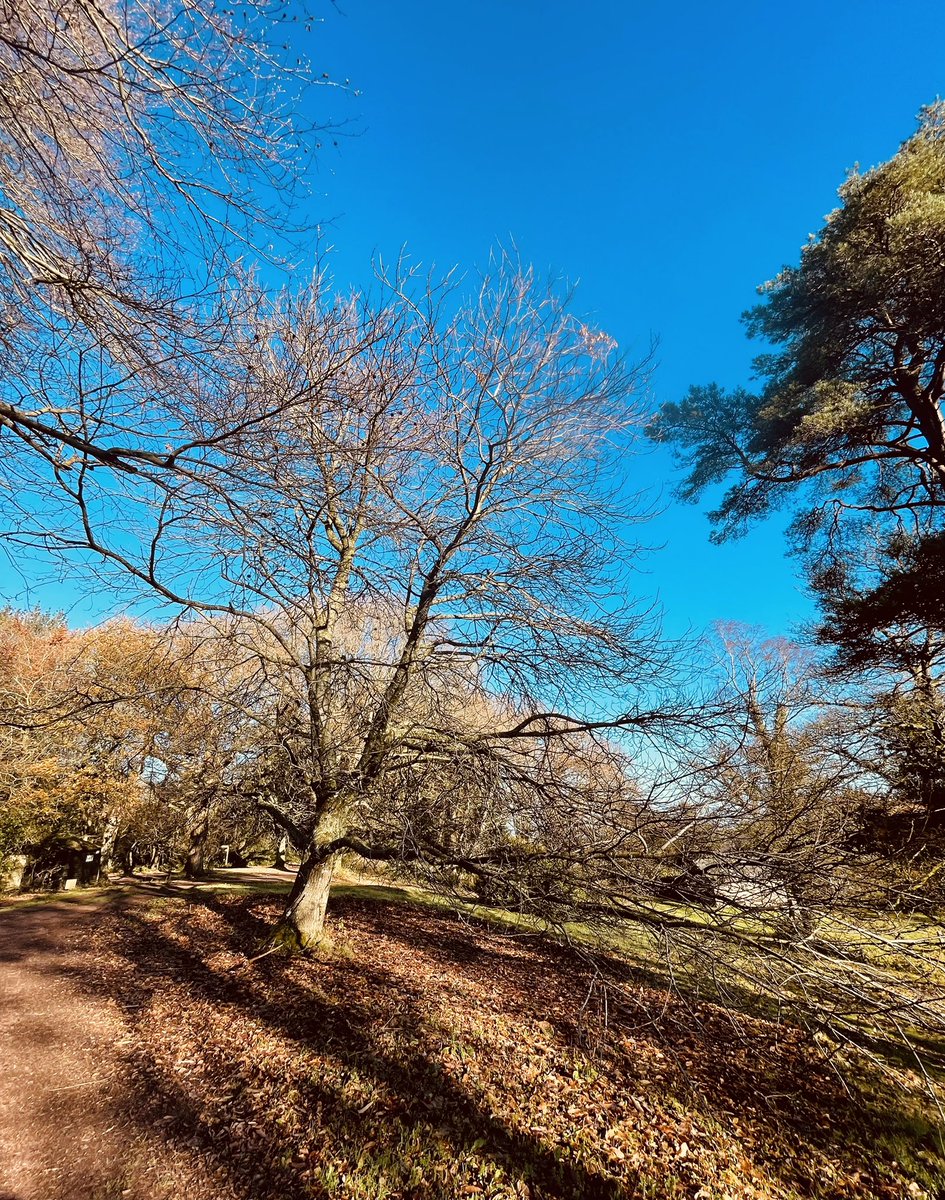 R Thomas-Hewartson tweet media