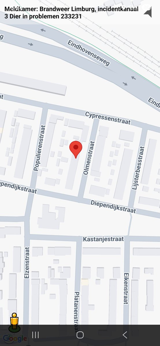 Dier in de problemen in Venlo