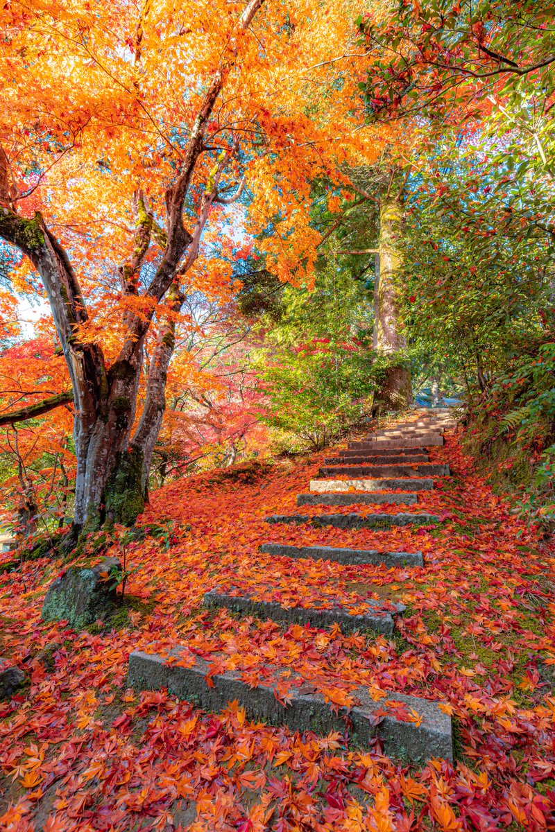 綺麗な風景と癒し (@kirei_huukei184) / Posts / X