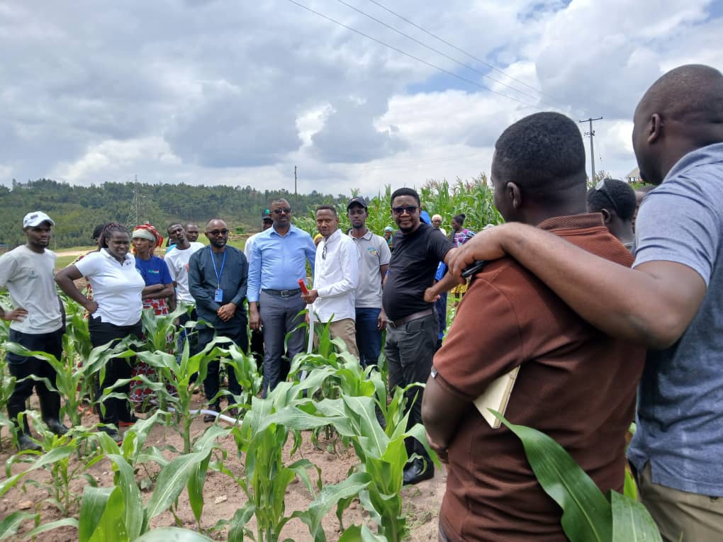 SAFE NGO tweet media