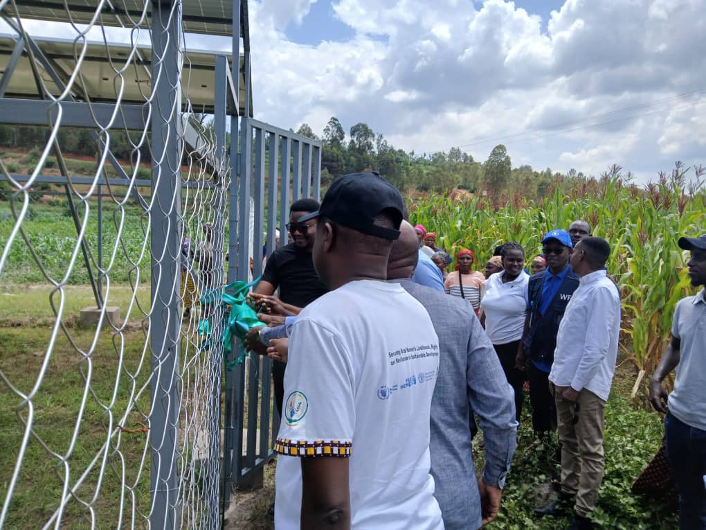 SAFE NGO tweet media