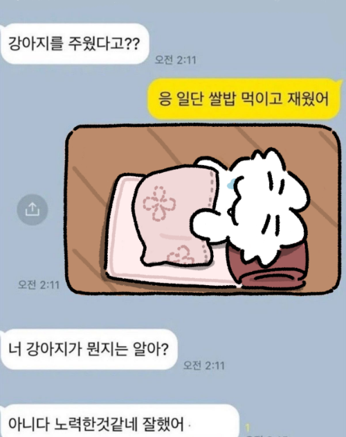 doenhoooooo's tweet photo. 댕줍 https://t.co/JJJnoG4Fpp
