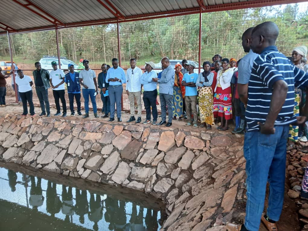 SAFE NGO tweet media