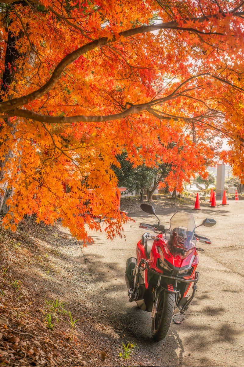 wataken999's tweet photo. 寒すぎてバイクの季節は終わった
#写真好きな人と繋がりたい https://t.co/HsCZWEsOiL