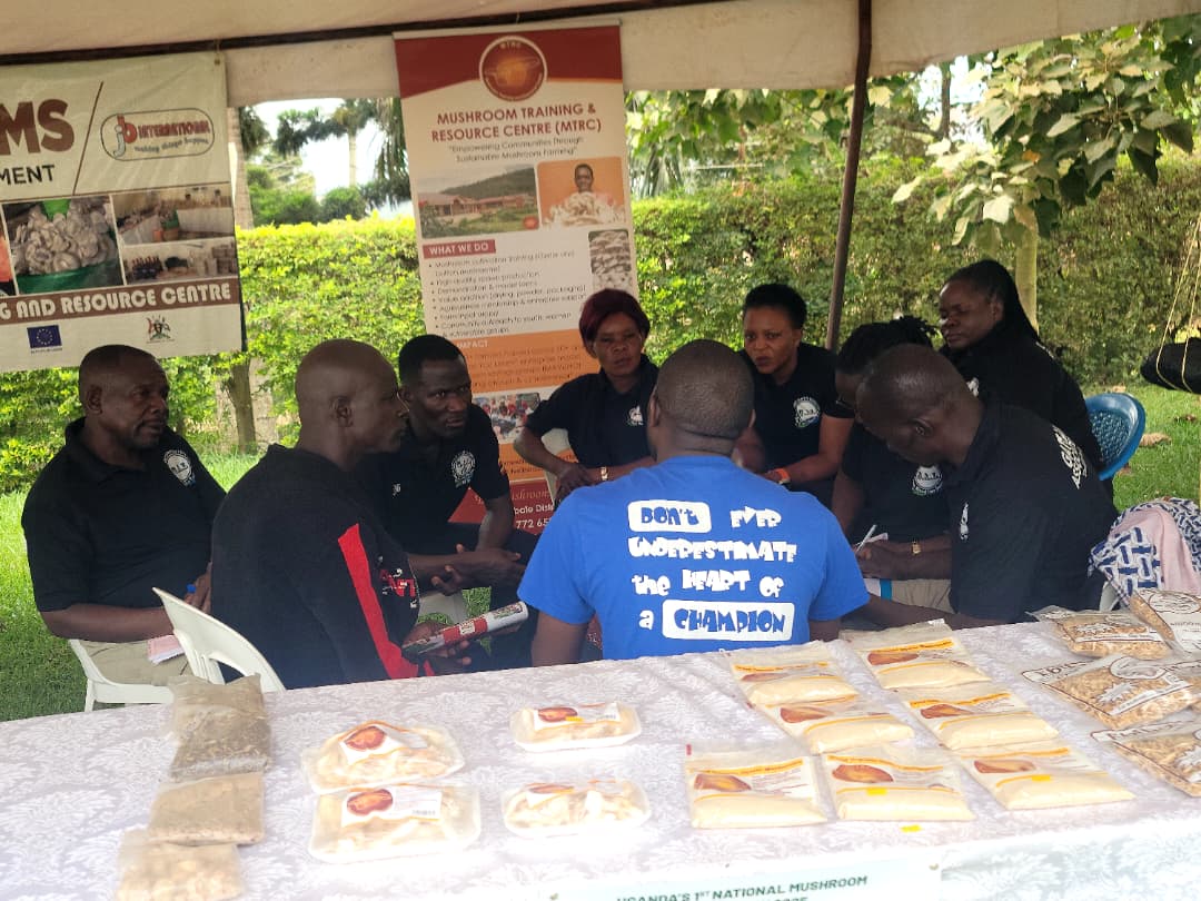 MTRCuganda's tweet photo. MTRC proudly participated in Uganda’s 1st National Mushroom Trade Show (27–30 Nov, Mukono). The event brought together mushroom farmers nationwide. Supported by GIZ, we showcased production, training &amp; value addition. Honored by visits from key leaders and partners. 🍄🌱 https://t.co/UW65x3uSYT