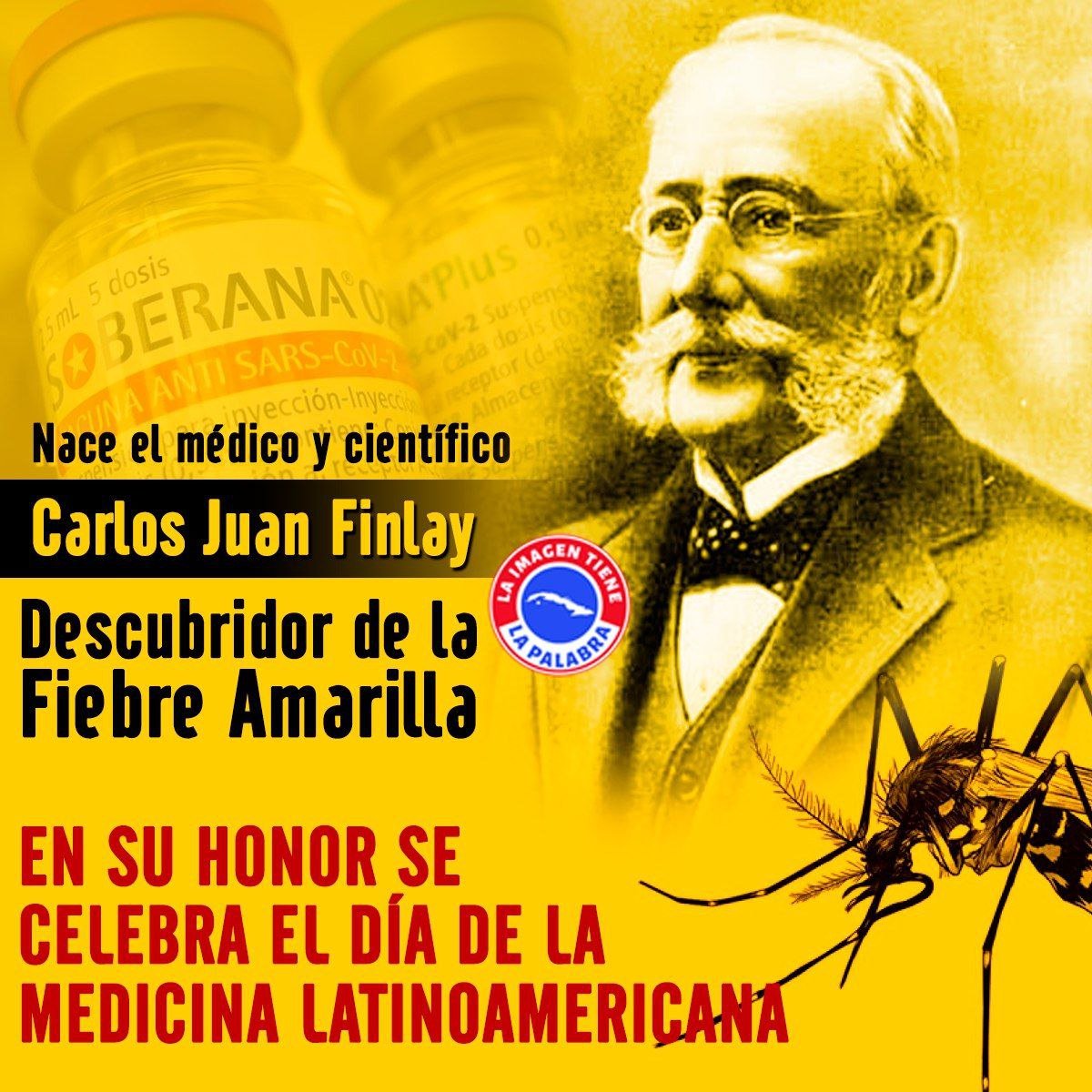 kittyplus08's tweet photo. #CubaPorLaVida #CubaVi https://t.co/qn8XX1f3UN