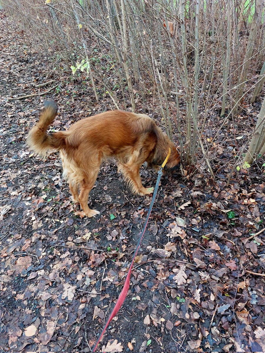 Theo und ich machen jetzt ne riiiesen Runde!