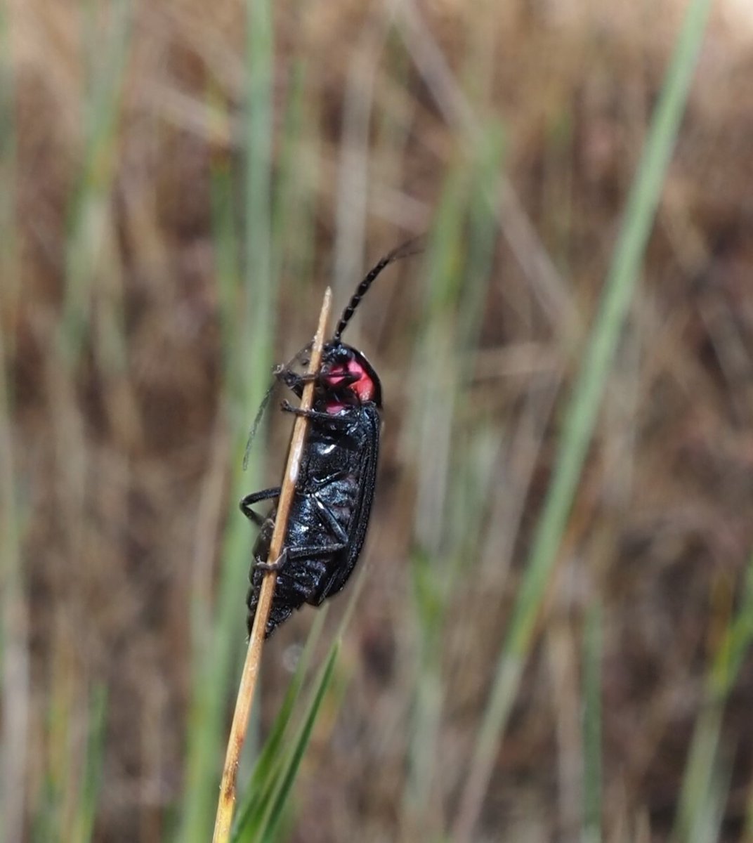 Facultad de Ciencias UCSC tweet media