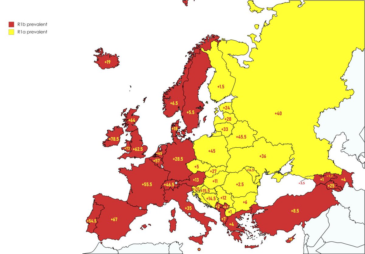 codeandclan's tweet image. R1a vs R1b.