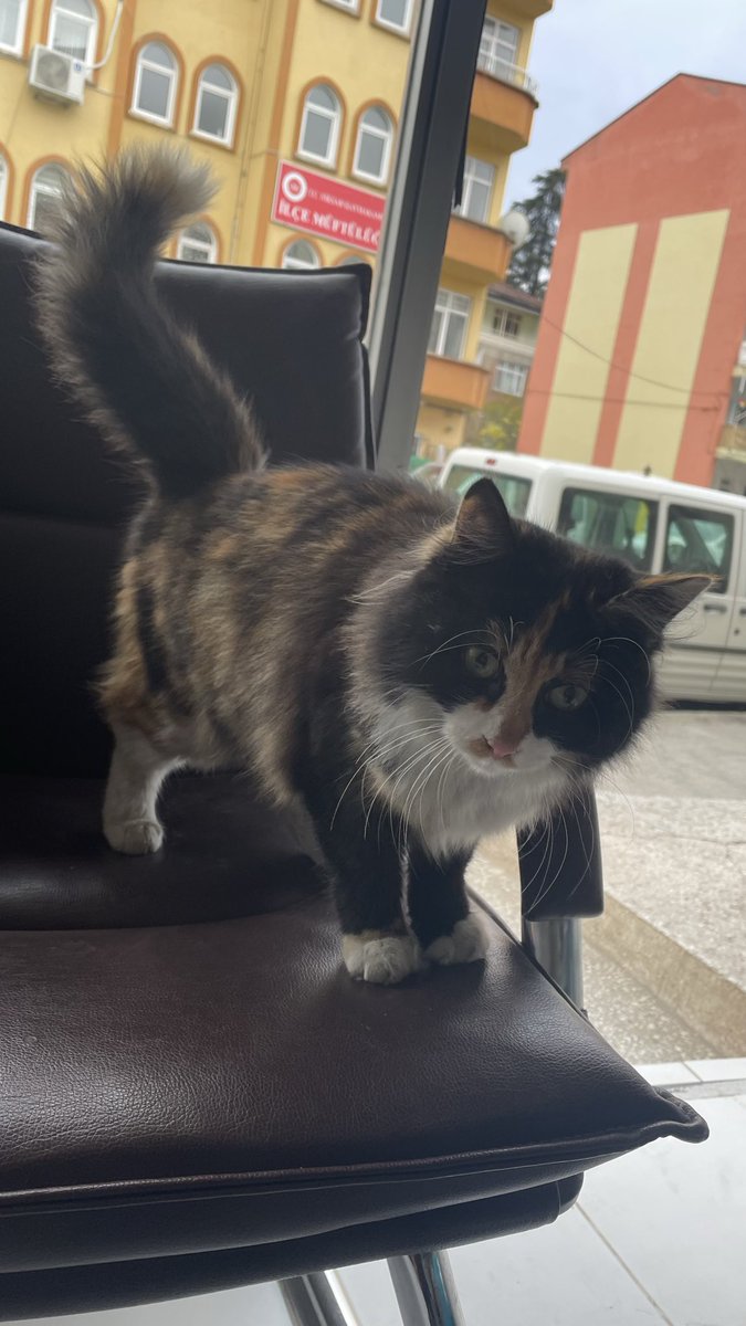 Sen buralara nerden geldin seni Yaradan tatlı yaratmış :)