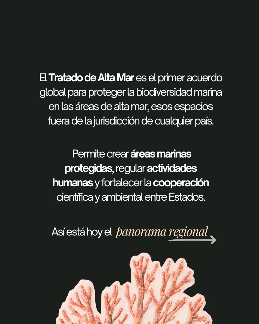 🌊 Alta Mar, alta urgencia

El Tratado de Alta Mar (BBNJ) ya superó el umbral de 60 ratificaciones necesarias para su entrada en vigor, prevista para enero de 2026.

Marcará un antes y un después en la protección de la biodiversidad y la gestión sostenible de los océanos 👇