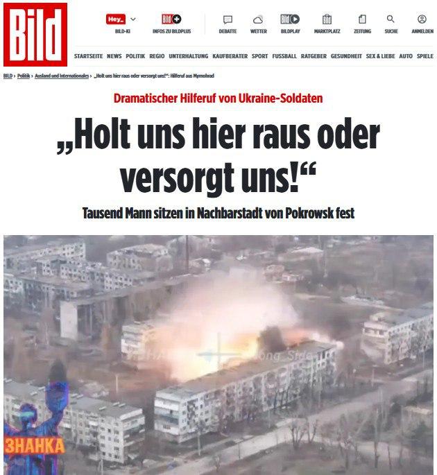 HrustalevaNata's tweet image. &quot;Нас тут больше 1000. Выведите нас отсюда. Ситуация критическая&quot; — ВСУ через BILD обратились к Сырскому и Зеленскому, чтобы их спасли из окружения в Мирнограде.