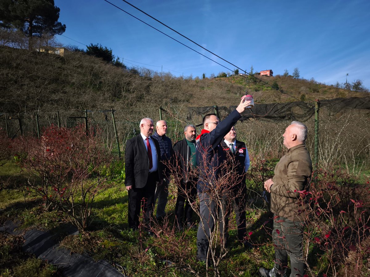 giresuntarim's tweet photo. 📍 Bulancak’ta Çiftçilere Sertifikalı 🫐Maviyemiş Fidanı Dağıtımı Gerçekleştirildi

👨‍🌾Bakanlığımız #TAKE Projesi kapsamında %70 devlet katkısı ve %30 çiftçi katkısı olmak üzere 13 üreticimize toplam 3.250 fidan dağıtıldı. 

Haberin detayı: 
🔗https://t.co/LXJWST05rp

@TCTarim https://t.co/4VIq3gMOq9