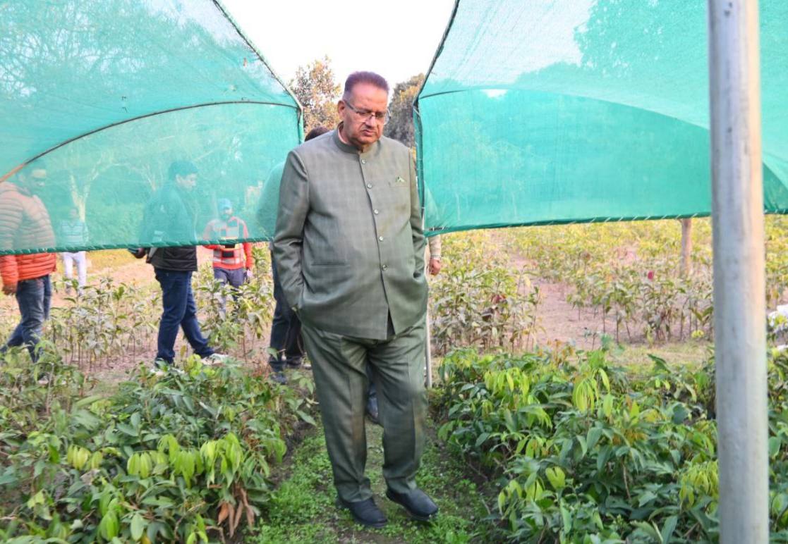 ganeshjoshibjp's tweet image. आज काशीपुर स्थित औद्यानिक परीक्षण केंद्र का निरीक्षण कर उन्नत कृषि तकनीकों का अवलोकन किया। अधिकारियों को निर्देश दिए कि आम, अमरूद, लीची और आलू बीज जैसी 30,000+ ग्राफ्टेड पौध से हो रहे अनुसंधान का लाभ प्रशिक्षण के माध्यम से सीधे किसानों तक पहुँचाया जाए।