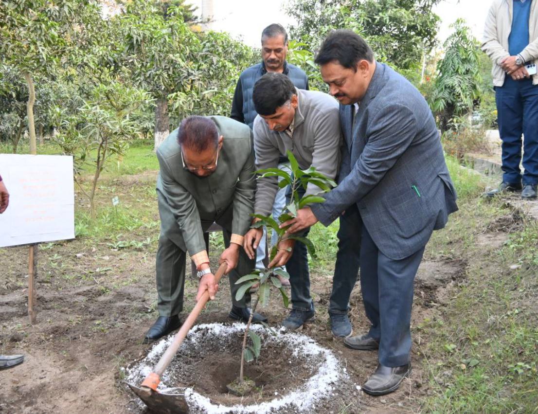 ganeshjoshibjp's tweet image. आज काशीपुर स्थित औद्यानिक परीक्षण केंद्र का निरीक्षण कर उन्नत कृषि तकनीकों का अवलोकन किया। अधिकारियों को निर्देश दिए कि आम, अमरूद, लीची और आलू बीज जैसी 30,000+ ग्राफ्टेड पौध से हो रहे अनुसंधान का लाभ प्रशिक्षण के माध्यम से सीधे किसानों तक पहुँचाया जाए।