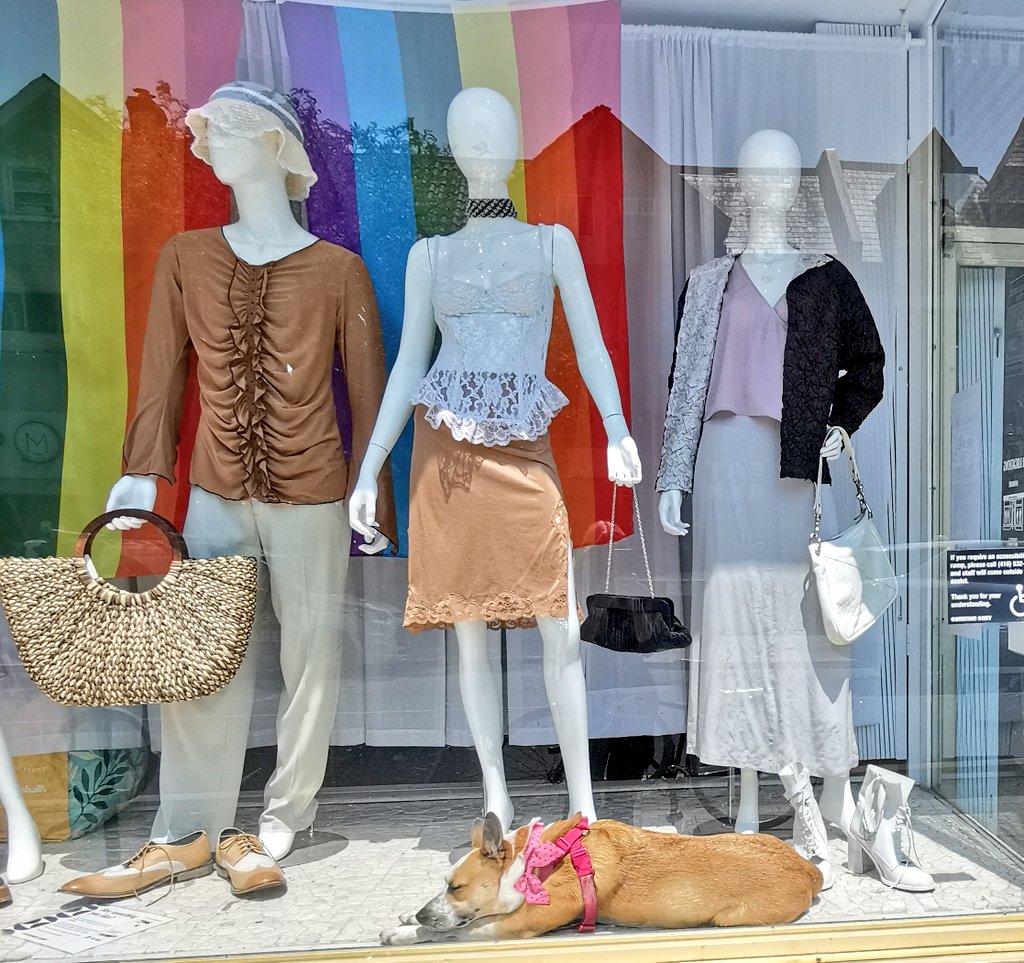 Connectthewrite's tweet image. #Alphabetchallenge
#WeekWforWindows
How much...?