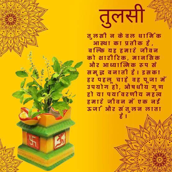 Sant Shri Asharamji Bapu बताते हैं कि तुलसी का पौधा वातावरण में सात्विकता पैदा करता है उसके आगे या निकट पढ़ने, विचारने, दीप जलाने और उसकी परिक्रमा करने से दसों इंद्रियों के विकार दूर होने में मदद मिलती है  Hindu Sanskriti में तुलसी को विष्णु प्रिया नाम भी दिया कुल मिलाकर यह बहुत