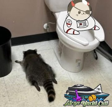 MYC_NETWORK's tweet image. You sit on the can and buy a fuck load of #REACT or you lay on the floor like a raccoon kid. 

Never be a raccoon kid.