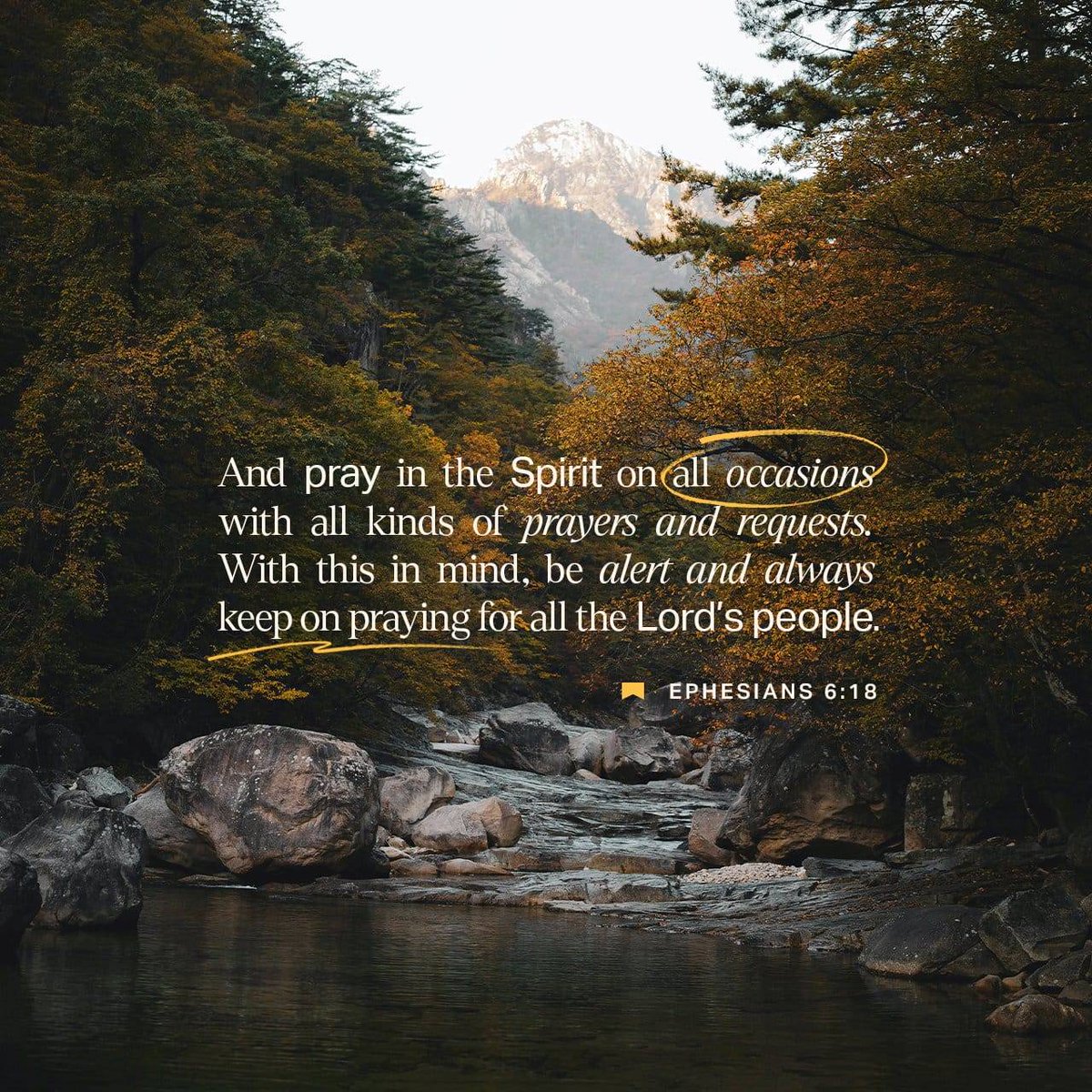 bible.com/verse-of-the-d…