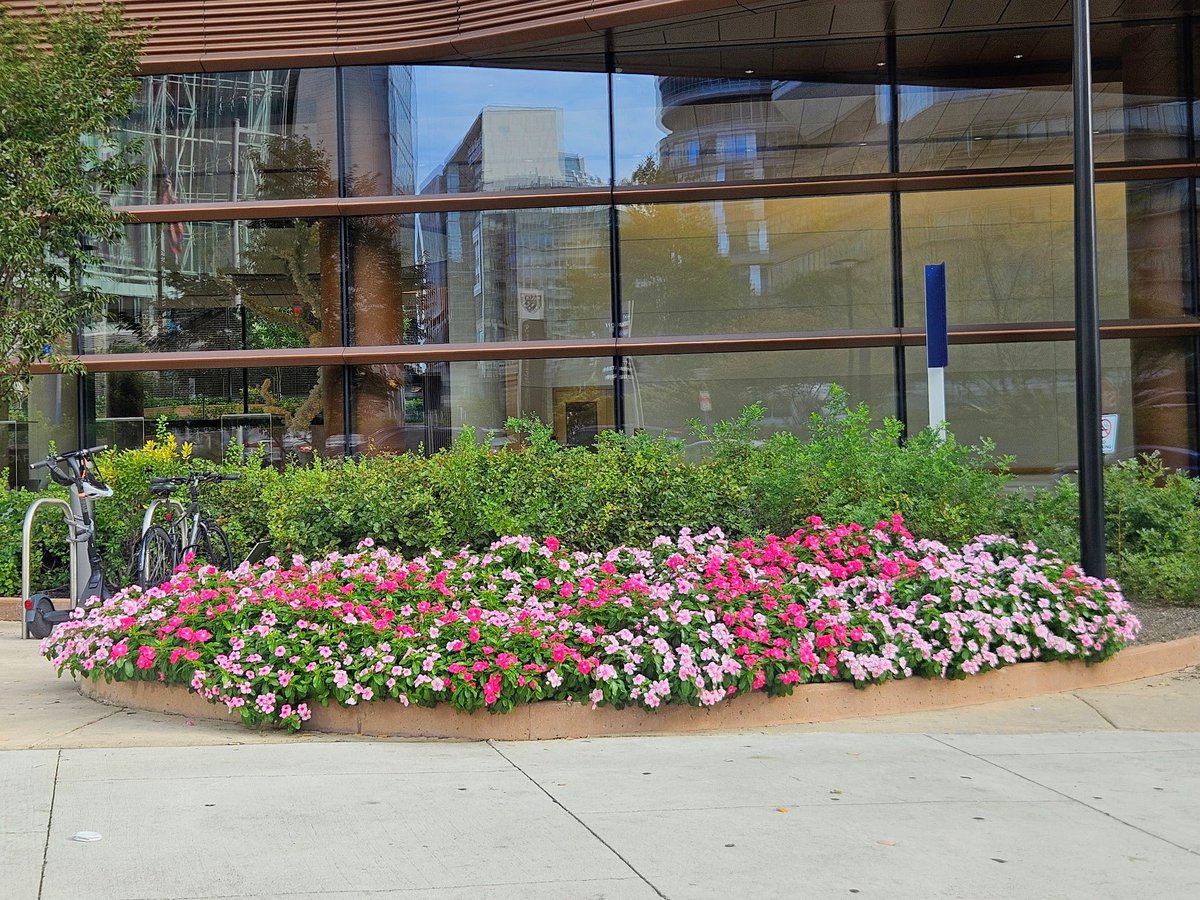 Savannah_0611's tweet image. Random photos snapped throughout the year #WindowsOnWednesday #AlphabetChallenge #WeekWforWindows