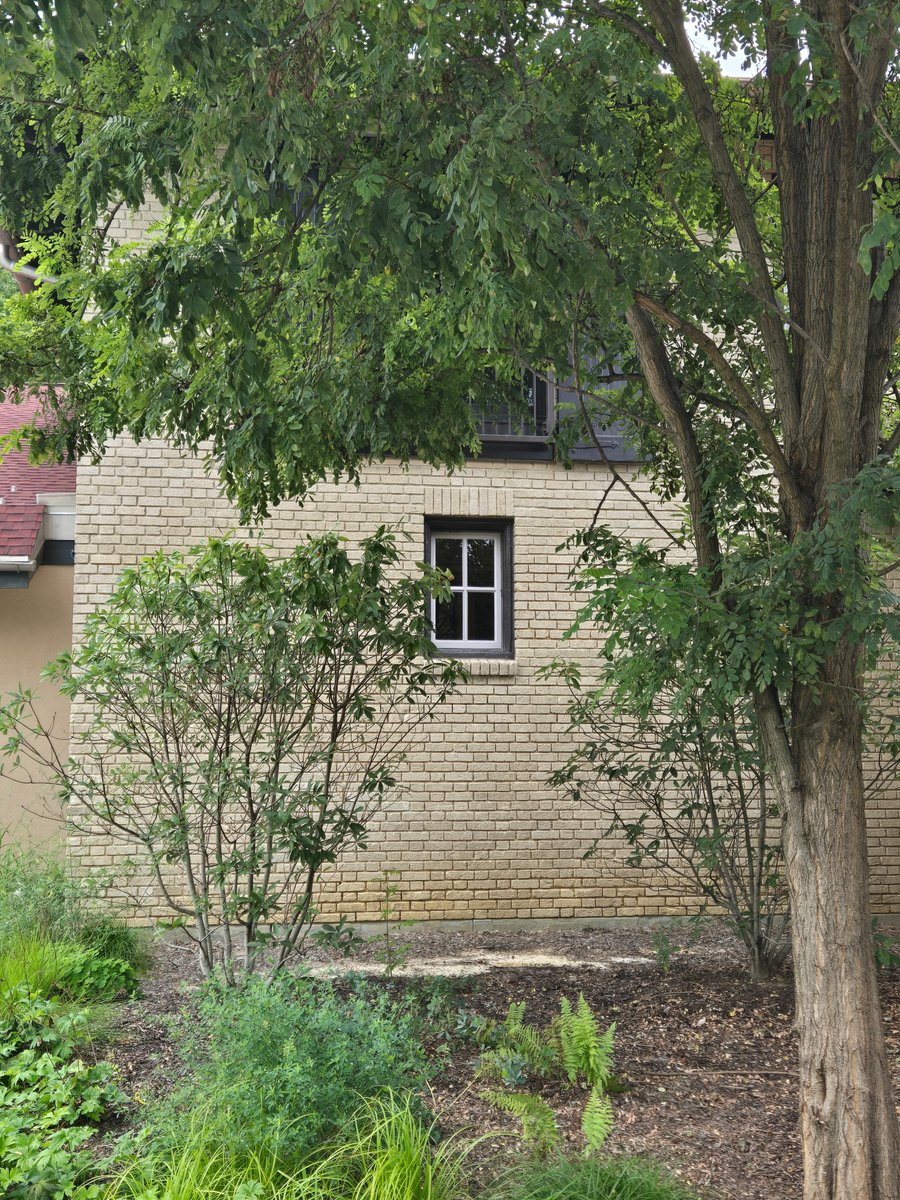 Savannah_0611's tweet image. Random photos snapped throughout the year #WindowsOnWednesday #AlphabetChallenge #WeekWforWindows