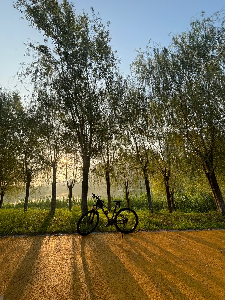 jayrdark's tweet image. Good morning🌞🚴‍♀️