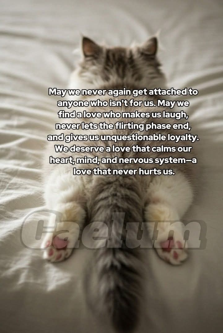 Eleonora Strass tweet media