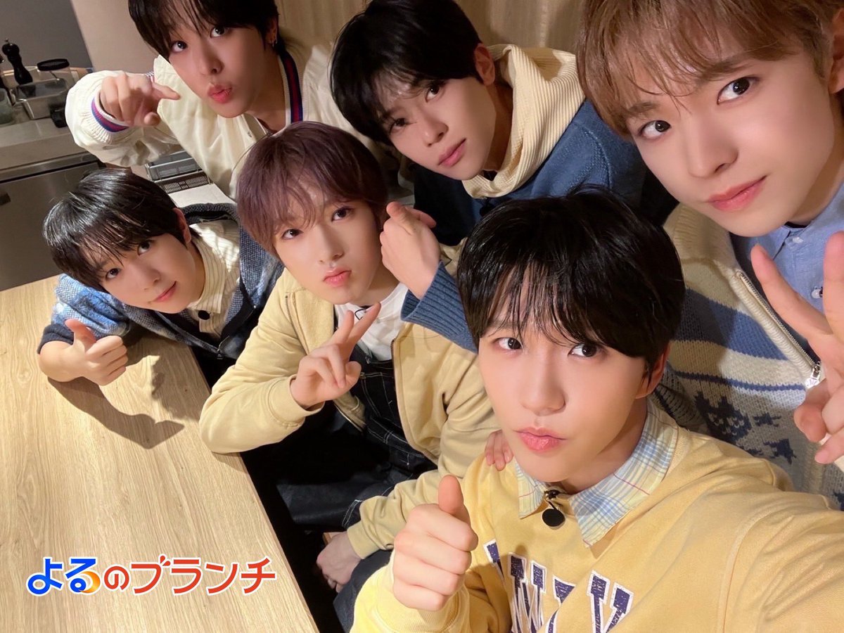 기니쿠や tweet media