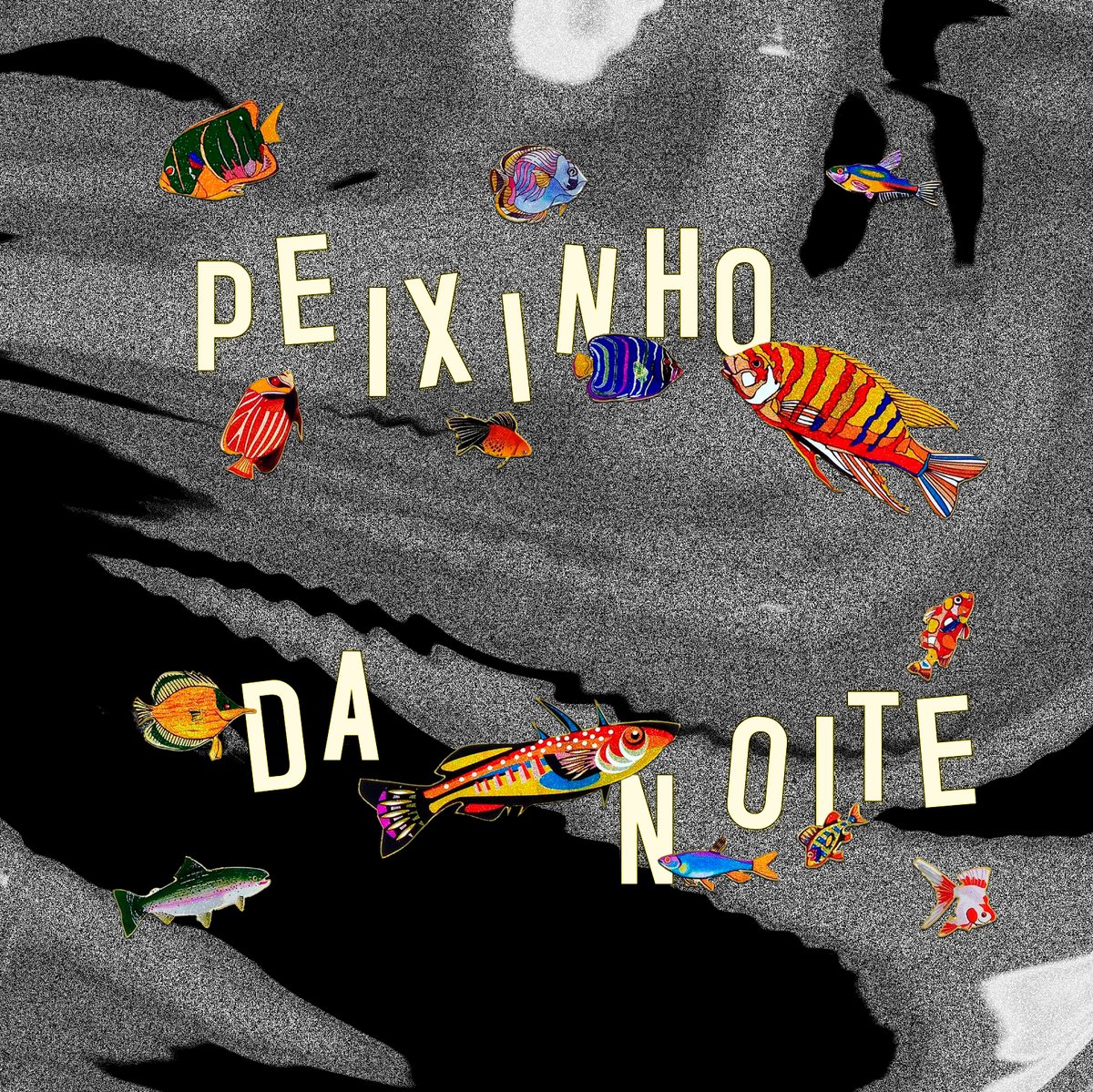 Tá no ar, música nova!

PEIXINHO DA NOITE
produzido por Pedro Pastoriz
mix e master por Iran Ribas, no estúdio Veredas em SP.

voz, baixo, guitarra e coros:
Pedro Pastoriz
bateria, percussão, synth, órgão:
Pedro Petracco
guitarra slide:
Rubens da Selva
Capa por Talita Hoffmann