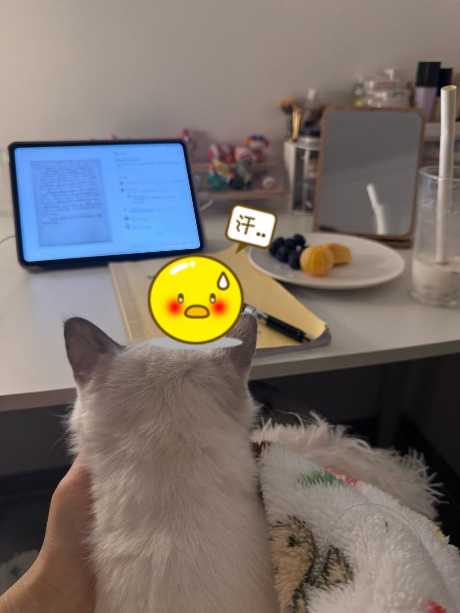 昆山性瘾 玲儿 tweet media
