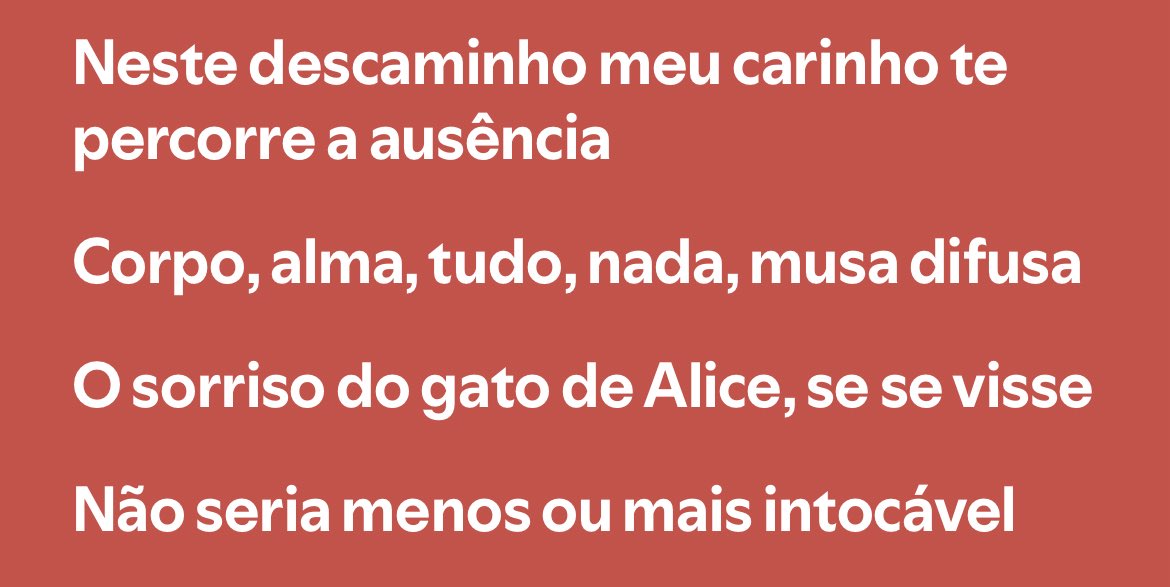 berré velloso tweet media