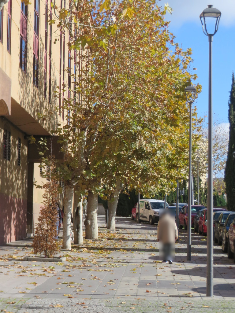 Ciudadanos por la Defensa del Patrimonio SALAMANCA tweet media