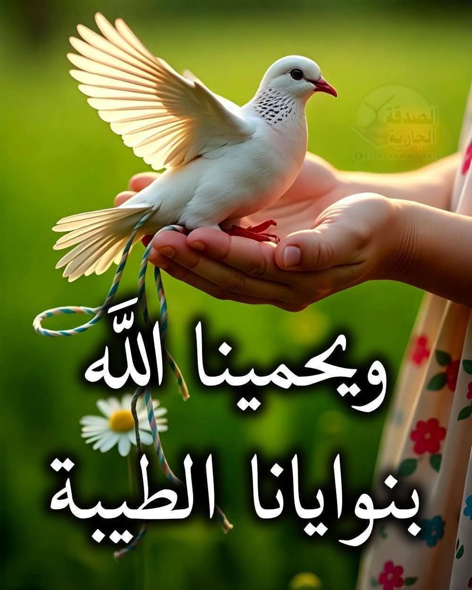 Stantani Abdessadeq. casa (@stantanissadeq) on Twitter photo 