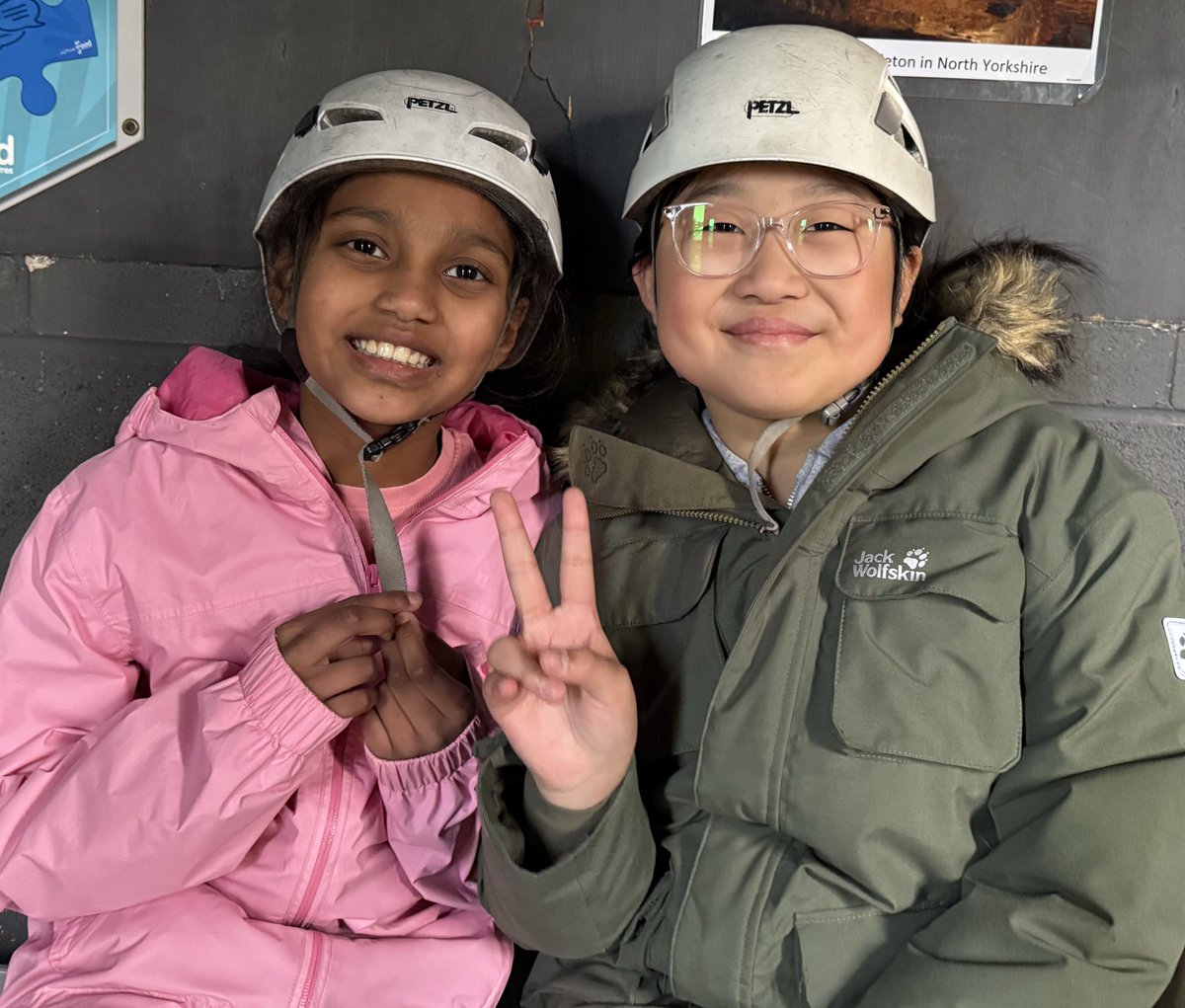 Mrs Todd tweet media