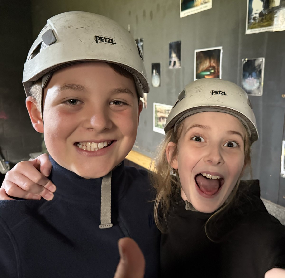 Mrs Todd tweet media