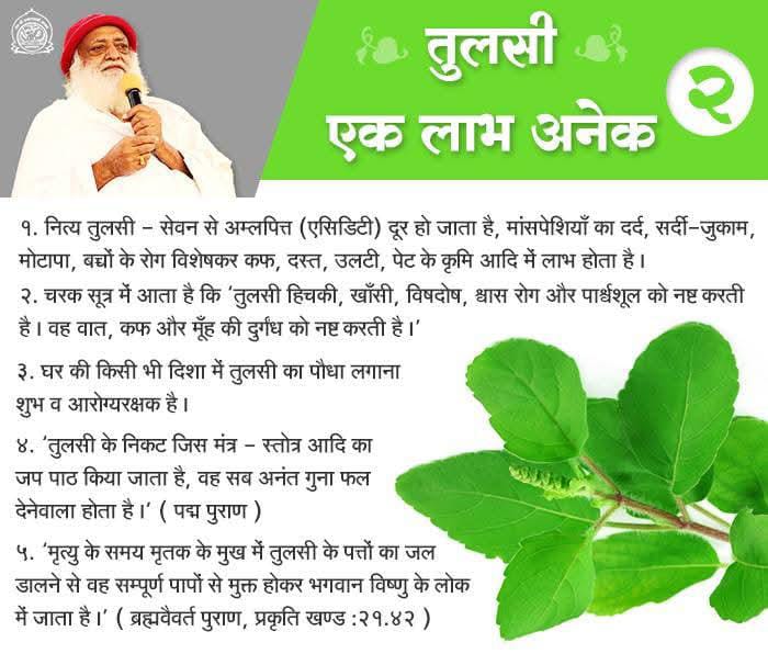 जहाँ तुलसी के पौधे होते हैं, वहाँ की शुद्ध और पवित्र रहती है। तुलसी के पत्तों में एक विशिष्ट तेल होता है जो कीटाणुयुक्त वायु को शुद्ध करता है। तुलसी की गंधयुक्त वायु से मलेरिया के कीटाणुओं का नाश होता है।
#तुलसी_एक_फायदे_अनेक