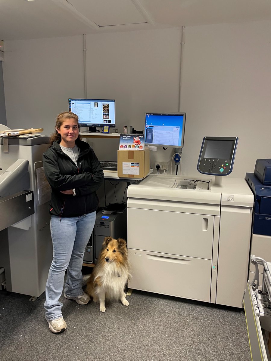 Kings Recruitment tweet media